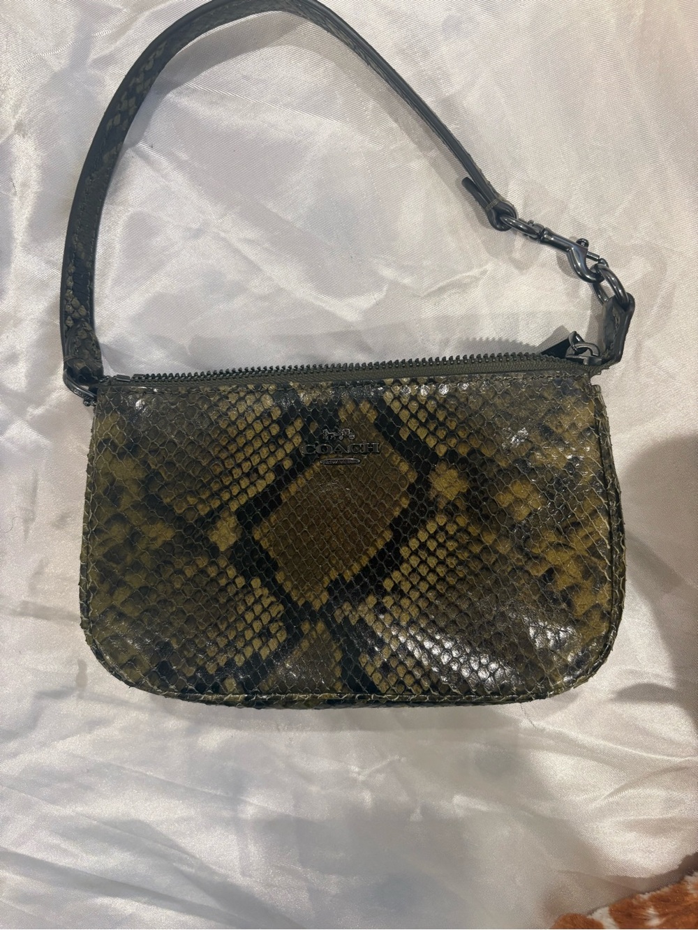Coach Olive Python-Print Wristlet Clutch